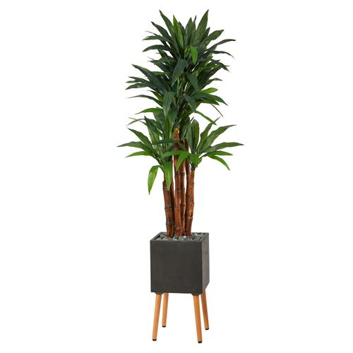 6'Dracaena Artificial Tree in Black Planter with Stand