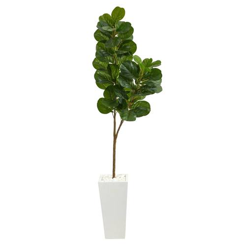 6'Fiddle leaf Fig Artificial Tree in Tall White Planter