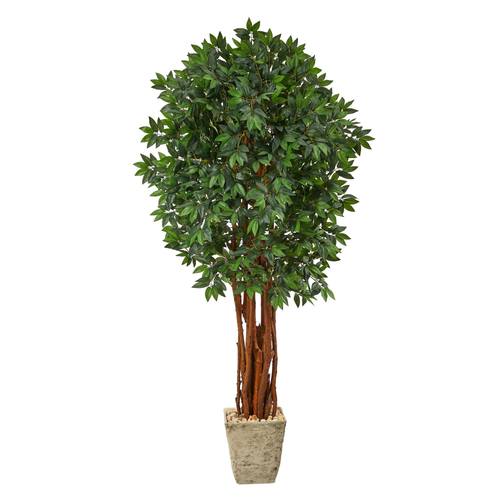 6'Lychee Artificial Tree in Country White Planter