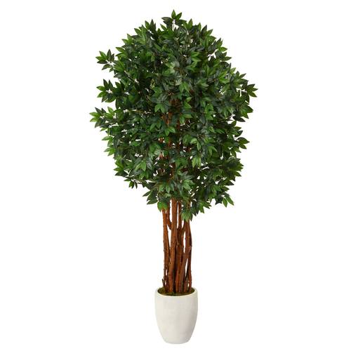 6'Lychee Artificial Tree in White Planter