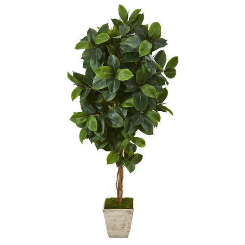 6'Rubber Leaf Artificial Tree in Country White Planter