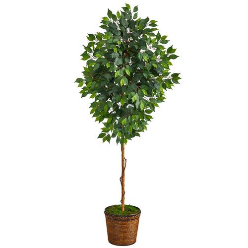 6.5'Ficus Artificial tree in Wicker Planter