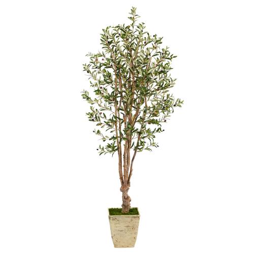 6.5'Olive Artificial Tree in Country White Planter