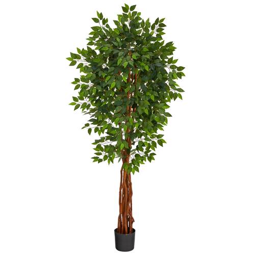 6.5'Super Deluxe Ficus Artificial Tree with Natural Trunk