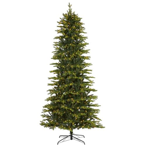 9'Belgium Fir “Natural Look