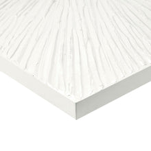 Load image into Gallery viewer, Sunburst Resin Dimensional Palm Box MPS95A-0038
