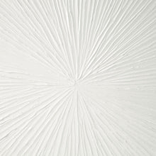 Load image into Gallery viewer, Sunburst Resin Dimensional Palm Box MPS95A-0038
