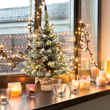 Load image into Gallery viewer, 25 Inch Artificial Snowy Christmas Tree with 50 LED Lights
