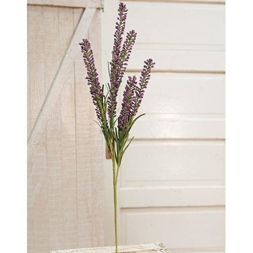Giant Millet Spray Purple (Pack of 4)