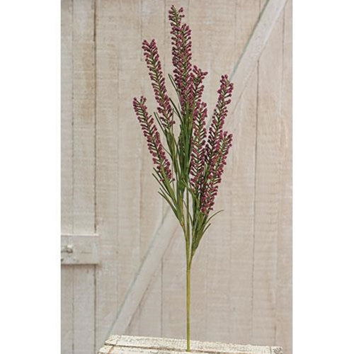 Giant Millet Spray Burgundy (Pack of 4)