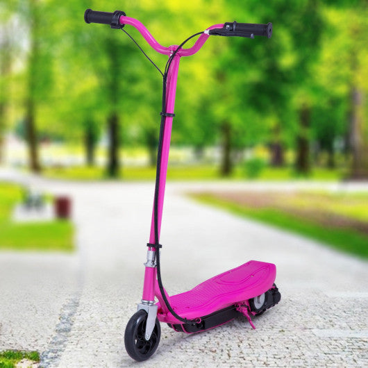 Outdoor Rechargeable 24 Volt Motorized Electric Scooter-Rose