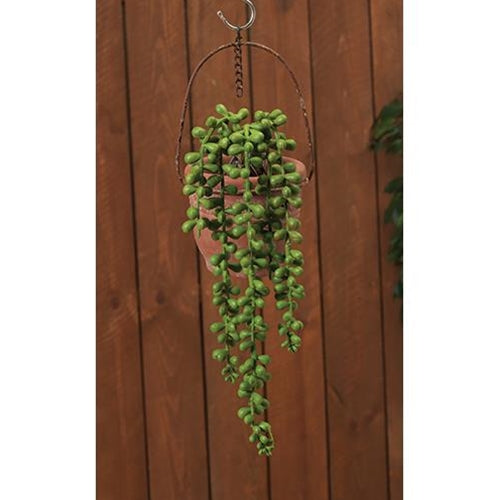 Succulent Strand 13.75