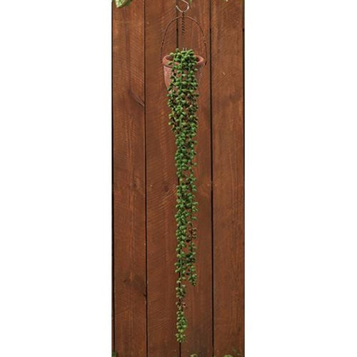Succulent Strand 28