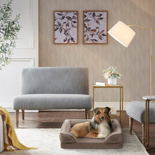Load image into Gallery viewer, Martha Stewart Bella Allover Fls066-4 Pet Couch MS63PC5359M By Olliix
