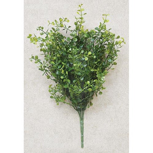 Baby's Grass Spray Med. Green 14