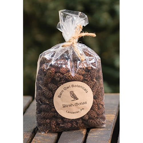 Birch Cones 1/4 Lb (Pack of 4)