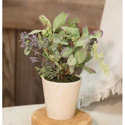 Lavender Lamb in Pot 11