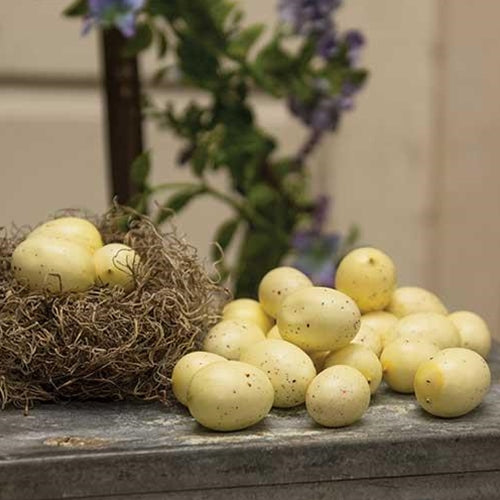 24/Set Cream Speckled Eggs (Pack of 4)