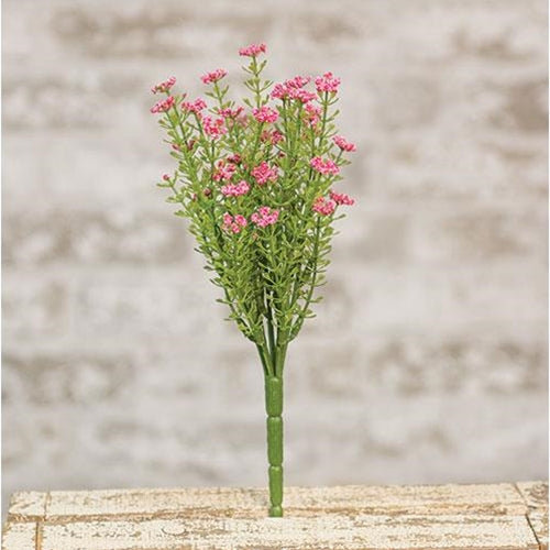 Pink Astilbe Bush 10.5