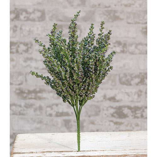 Blue Heather Bush 12