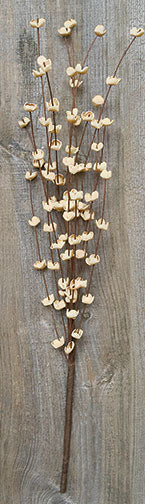 Cream Buttercup Pick 16