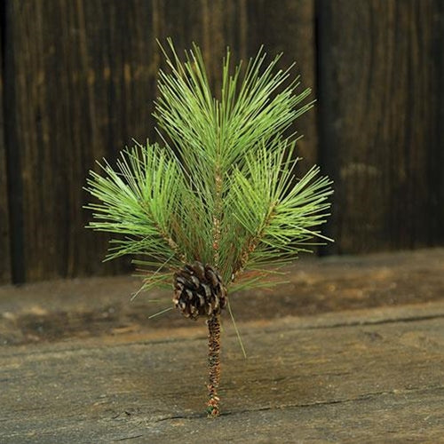 Tahoe Needle Pine Pick  (Pack of 4)