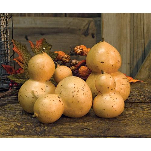 Mixed Hulu Gourds Bag
 (Pack of 2)