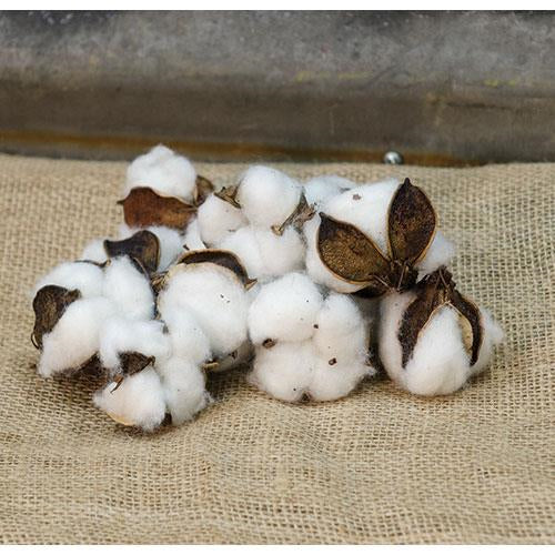 Cotton Ball Bag (Pack of 4)