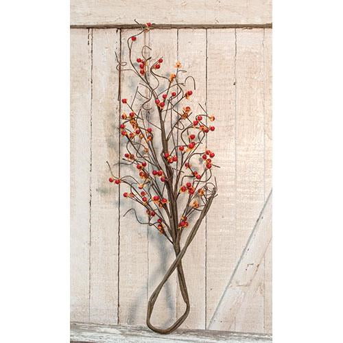 Country Bittersweet Branch  (Pack of 4)