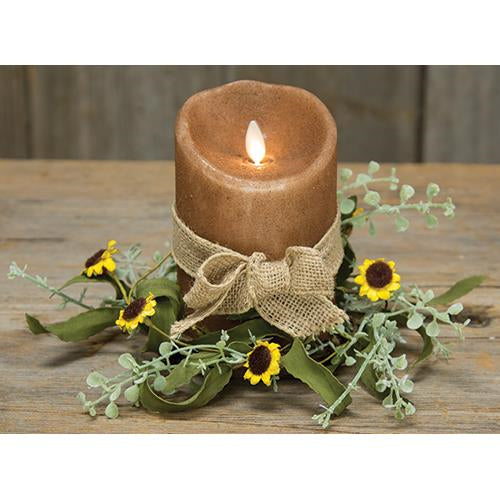 Bird's Eye Daisy Ring (Pack of 4)