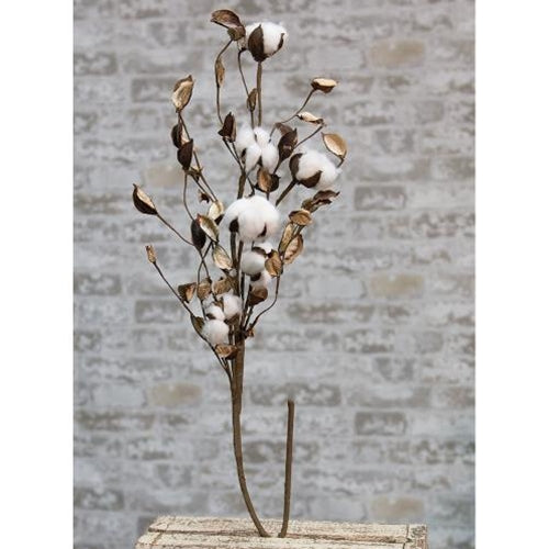Cotton Branch w/Shells 30