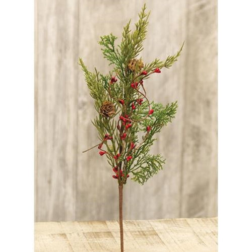 Evergreen Pine w/Red Pips Pick  (Pack of 4)