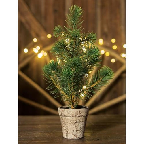 Potted Sierra Pine Tree (Pack of 2)