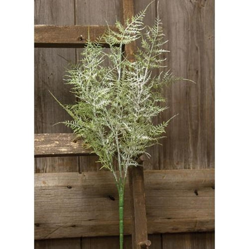 Snowy Glitter Coral Pine Bush  (Pack of 4)