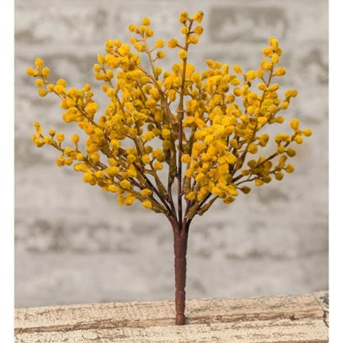 Gooseberry Bush (Pack of 2)