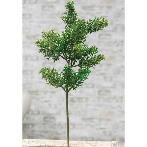 Evergreen Mixed Cedar Pick (Pack of 4)