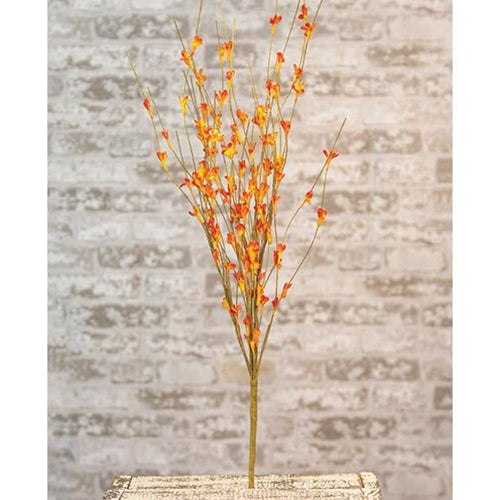 Wispy Orange Buds Flower Bush 21
