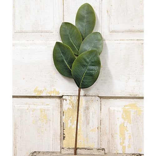 Williamsburg Magnolia Leaves Pick 20