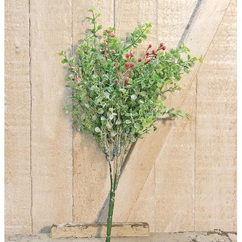 Sparkle Baby's Grass & Berries Bush 13