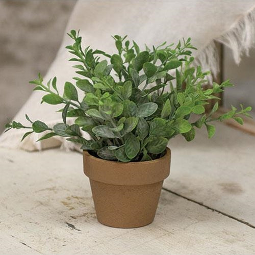 Gatehouse Herb Pot #2 6