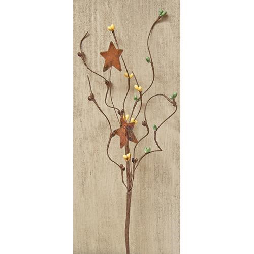 Coffee Bean Pip  & Star Pick 12