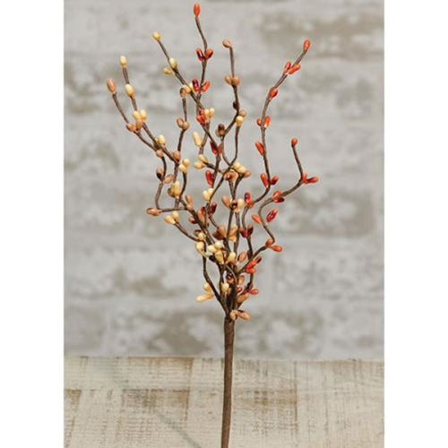 Pip Berry Pick Pumpkin Spice 12