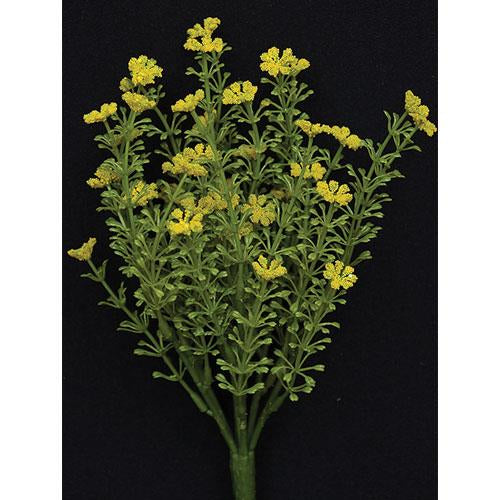Yellow Astilbe Bush 10.5
