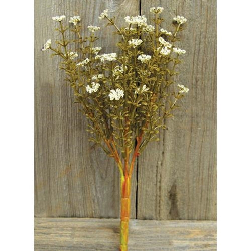 Fall Astilbe Bush - Cream (Pack of 4)