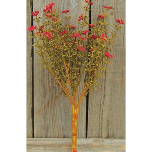 Red Fall Astilbe Bush 10.5