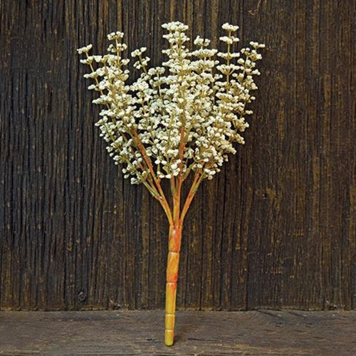 Cream Astible Bush - 10.5