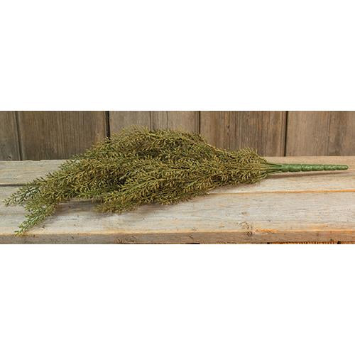 Wheat Bush 19