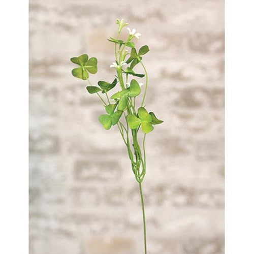 Clover Pick 14