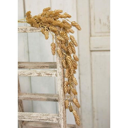 Hanging Hops Bush 32