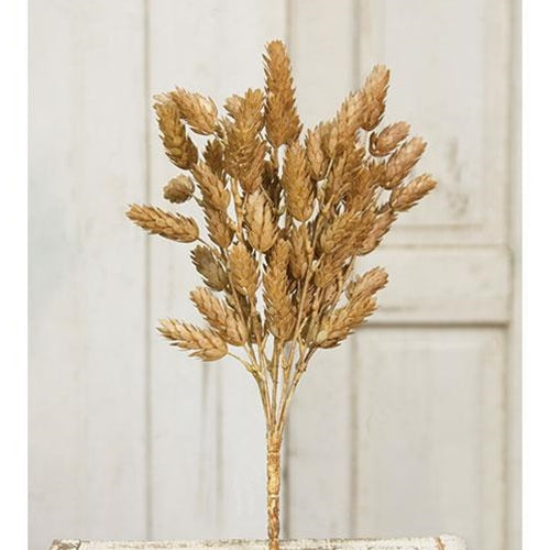 Beige Hops Bush 15